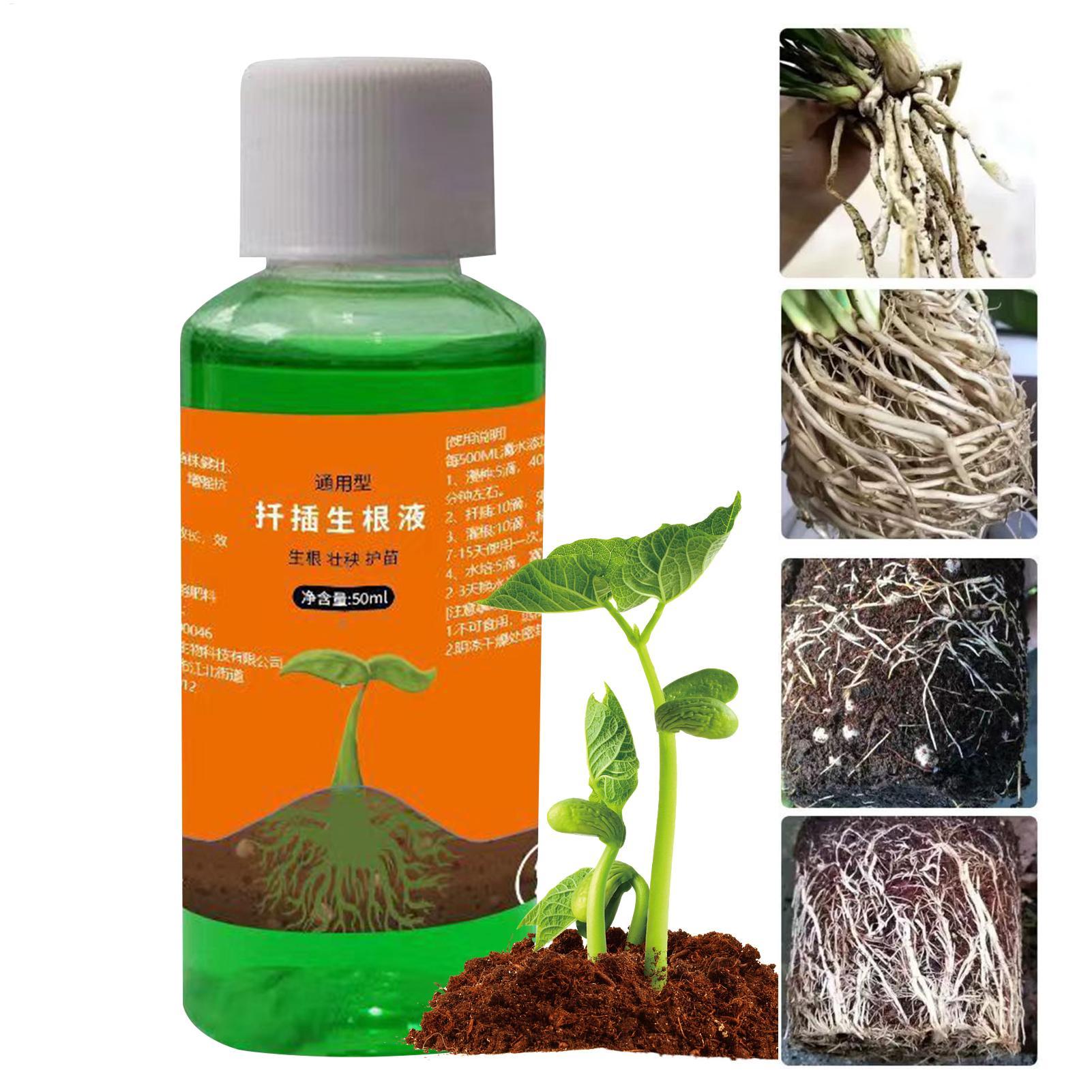 50ml 식물 재배 영양액, 묘목용 빠른 뿌리 성장액, - Root Stimulator Liquid 리뷰 및 가격