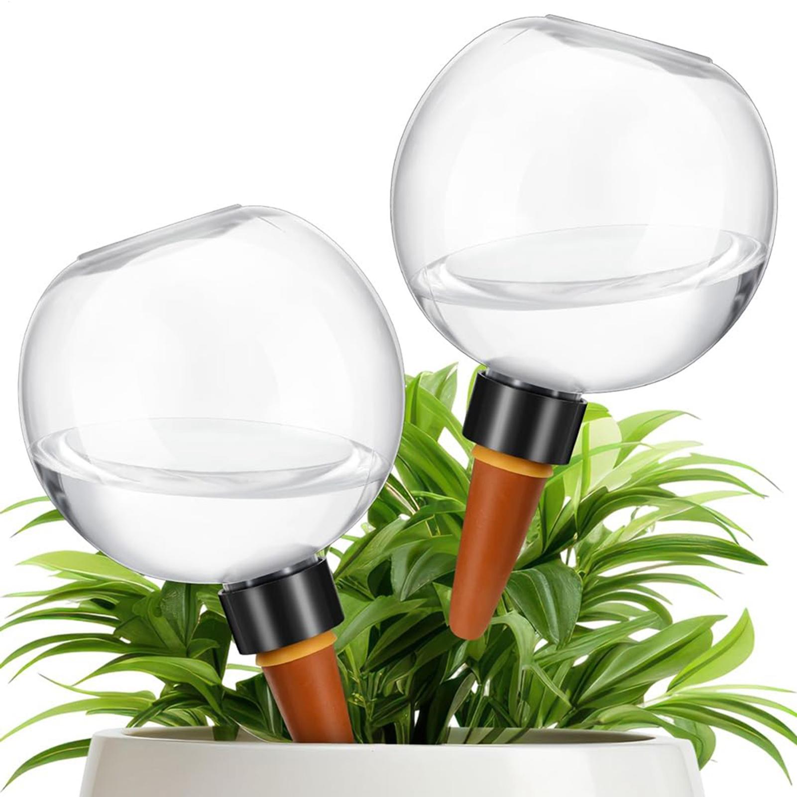 500ml 자동 식물 급수 구슬 유리 글로브 플랜터 삽 - Self Watering Insert 리뷰 및 가격