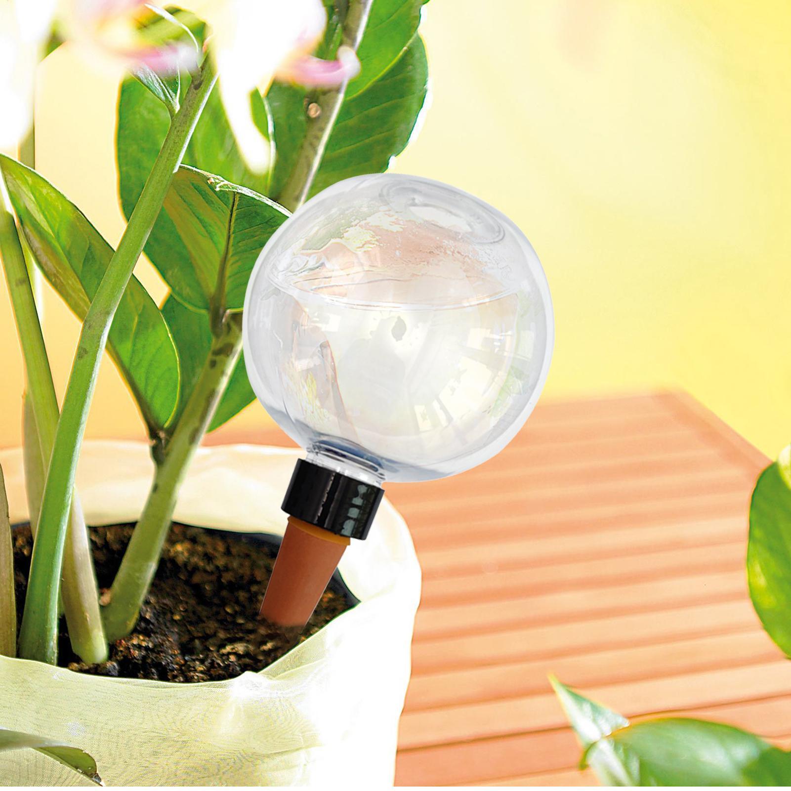 500ml 자동 식물 급수 구슬 유리 글로브 플랜터 삽 - Self Watering Insert 리뷰 및 가격